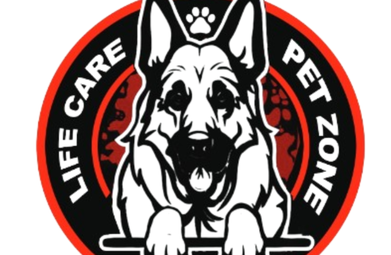 Embracing the Seasons with LifeCare Pet Zone: A Year-Round Journey in Pet Care