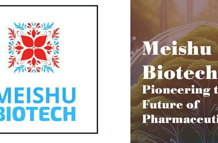 Coming Soon: Meishu Biotech’s First Patent Applied Product in the Orthopedic segment