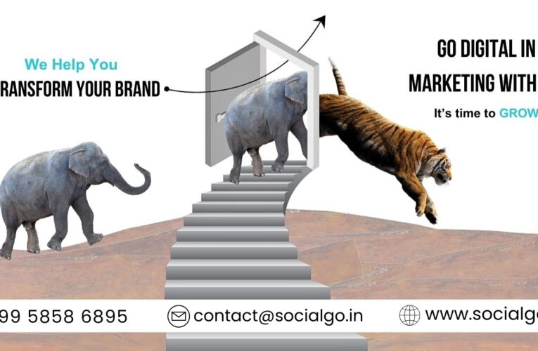 Best Digital Marketing Agency in Delhi