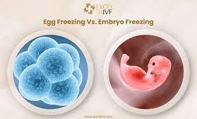 Planning Your Fertility Future: Key Differences Between Egg and Embryo Freezing Explained