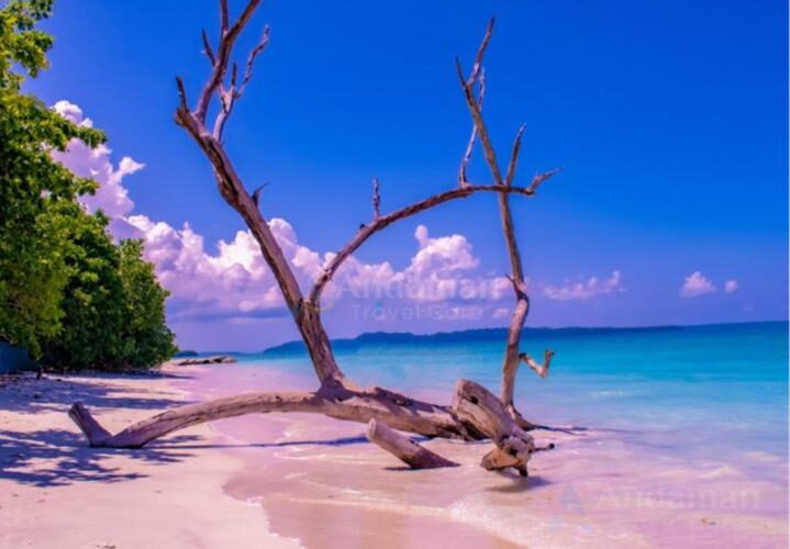 AndamanTravelCare: Port Blair-Based Local Andaman Tour Operator Launches Premium Andaman Tour Packages from Visakhapatnam